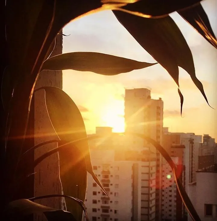 Loft Confortavel E Moderno Sao Paulo Otel